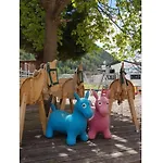 Gentian Riding Stable Alpine Umhausen