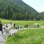 Gentian Riding Stable Alpine * Umhausen