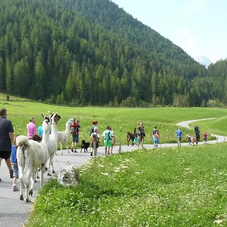 Gentian Riding Stable Alpine * אומהאוזן
