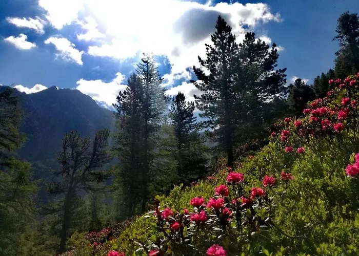 Gentian Riding Stable Alpine * Umhausen